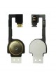 Flex (flat) tasto Home Iphone 4