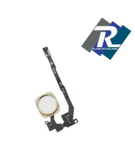 FLEX FLAT TASTO HOME COMPLETO ORO GOLD PER IPHONE 5S 5 S NO FUNZIONE IMPRONTA FLEX FLAT TASTO HOME COMPLETO ORO GOLD PER IPHONE 5S 5 S NO FUNZIONE IMPRONTA